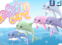 Ai Grija de Delfin