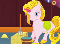 Ai Grija de Unicorn