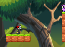 Baiatul Ninja