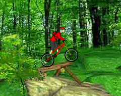 Biciclete in Padure