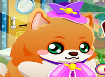 Cainele Pomeranian