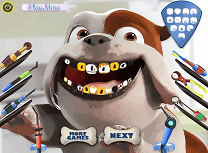 Cainele la Dentist