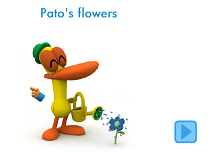 Florile lui Pato