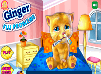 Ginger Are Gripa