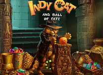 Indy Cat