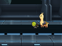 Lama in Misiune