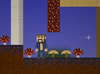 Minecraft Online 2