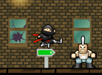 Ninja in Misiune