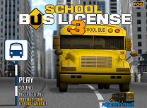 Permis de Conducere pe Autobuz