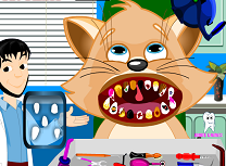 Pisica la Dentist