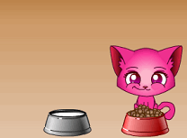 Pisicuta Mea