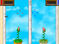 Plante Carnivore