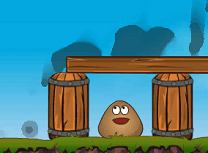 Pou la Adapost