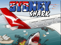 Rechin in Sydney