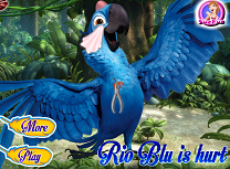 Rio Ranit
