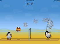 Volei cu Pinguini