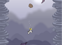 Zebra Zou in Apa
