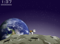 Zebra Zou in Spatiu