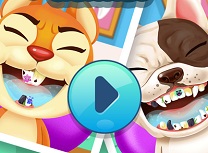 Dentist de Animale