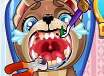 Catelus la Dentist