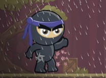 Ninja Intunecat