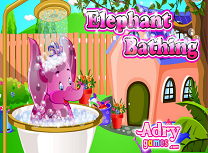 Elefantul la Baie