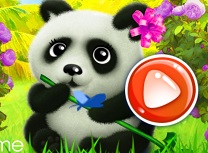 Panda Fericit