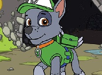 Catelul Rocky