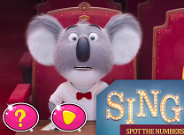 Sing Numere Ascunse