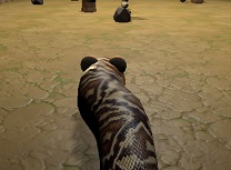 Nova Sarpe 3D