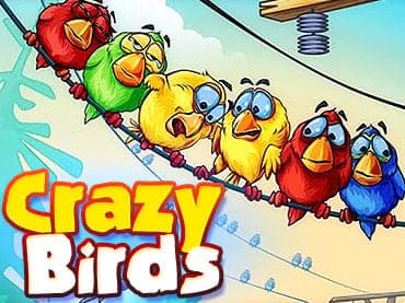 Crazy-Birds